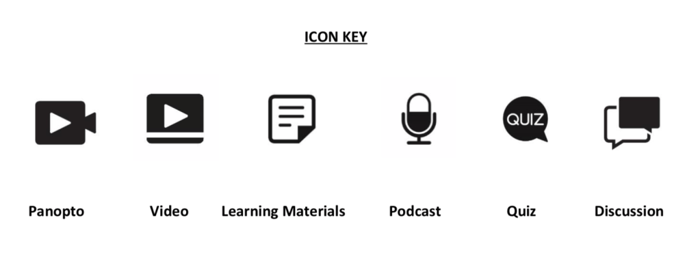 Panopto lecture capture icons